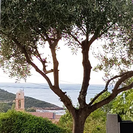 La Casetta Galeria